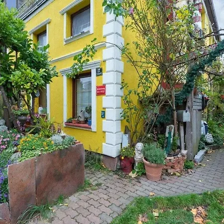 With Garden In *