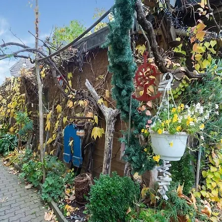With Garden In *